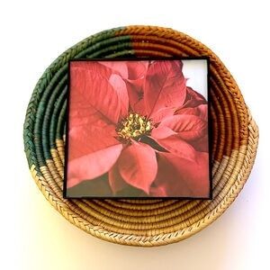 4x4 Red Poinsettia Print in a Simple Frame